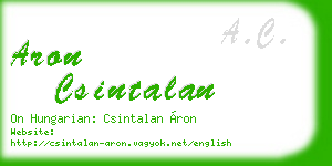 aron csintalan business card